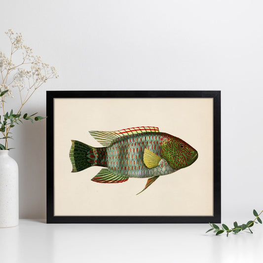Lámina de pez verde, rojo, amarillo y gris en , fondo papel vintage.-Artwork-Nacnic-Nacnic Estudio SL