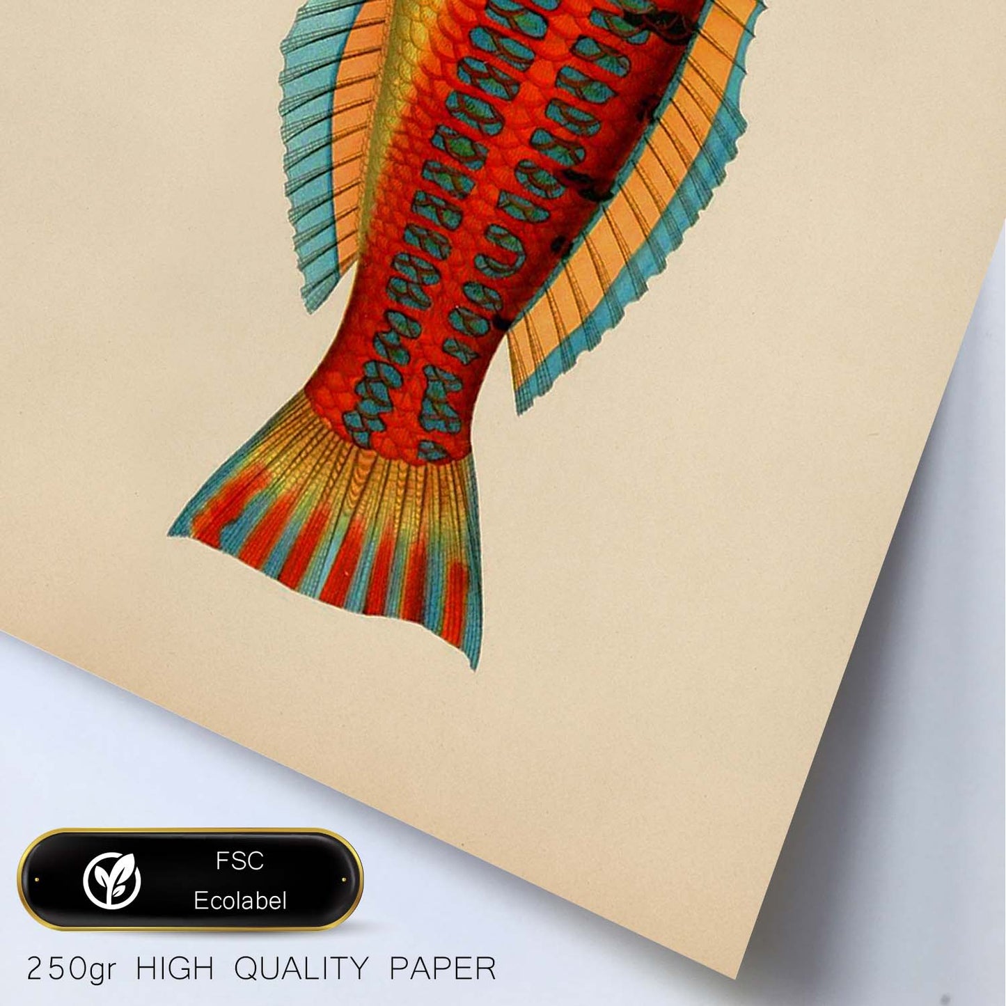 Lámina de pez vintage rojo, amarillo, y azul en , fondo papel vintage.-Artwork-Nacnic-Nacnic Estudio SL