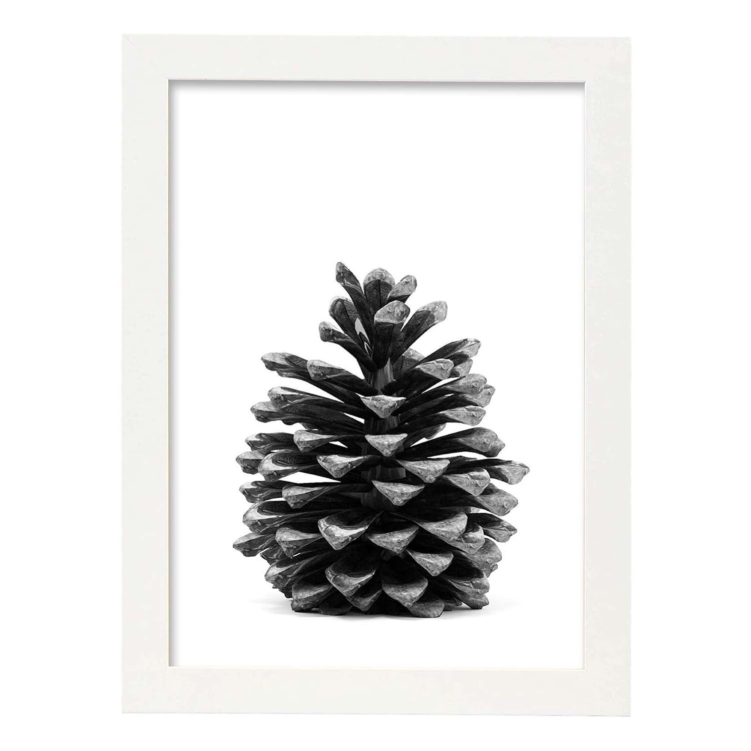Lámina de piña de pino en , en blanco y negro .-Artwork-Nacnic-A3-Marco Blanco-Nacnic Estudio SL