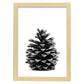 Lámina de piña de pino en , en blanco y negro .-Artwork-Nacnic-A3-Marco Madera clara-Nacnic Estudio SL