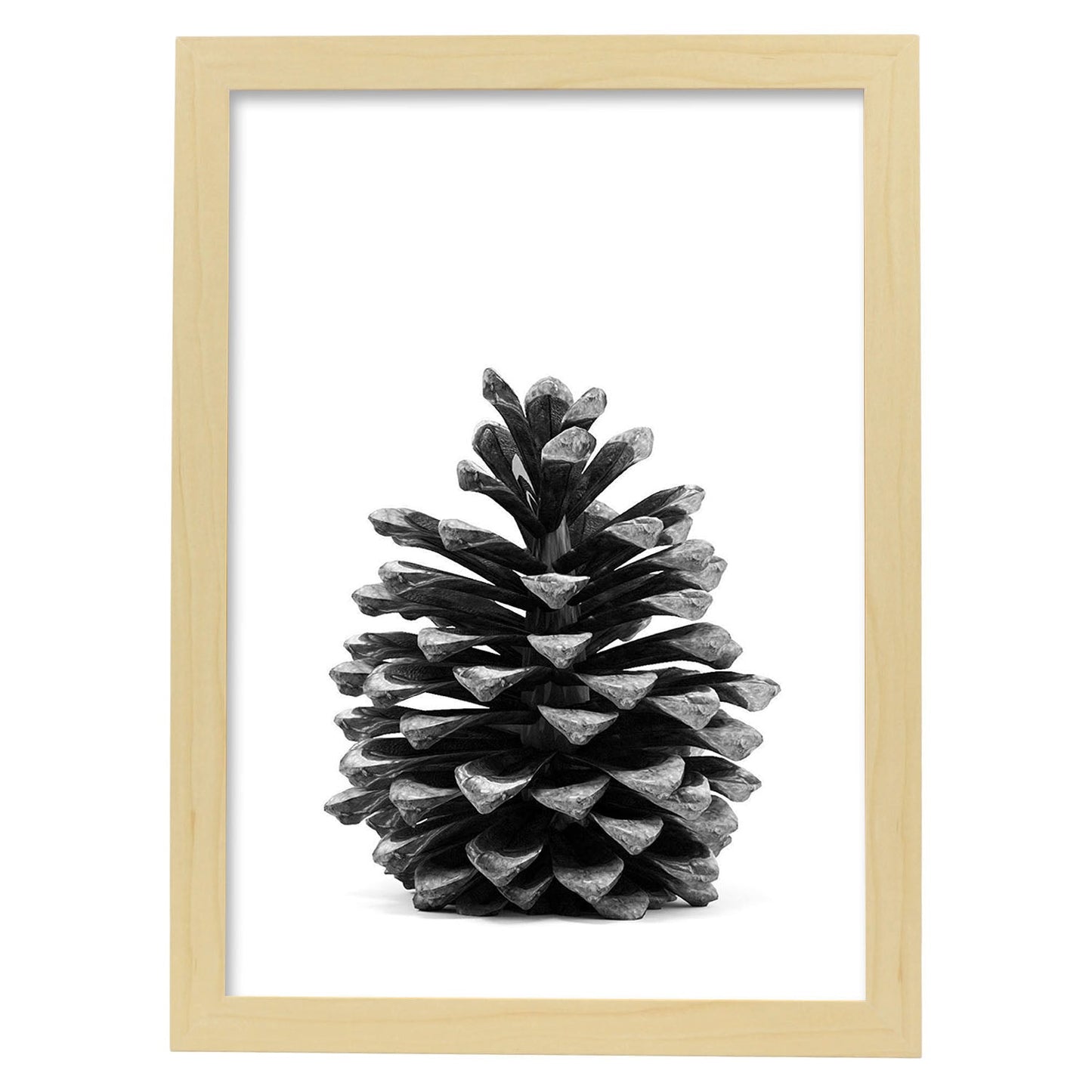 Lámina de piña de pino en , en blanco y negro .-Artwork-Nacnic-A3-Marco Madera clara-Nacnic Estudio SL
