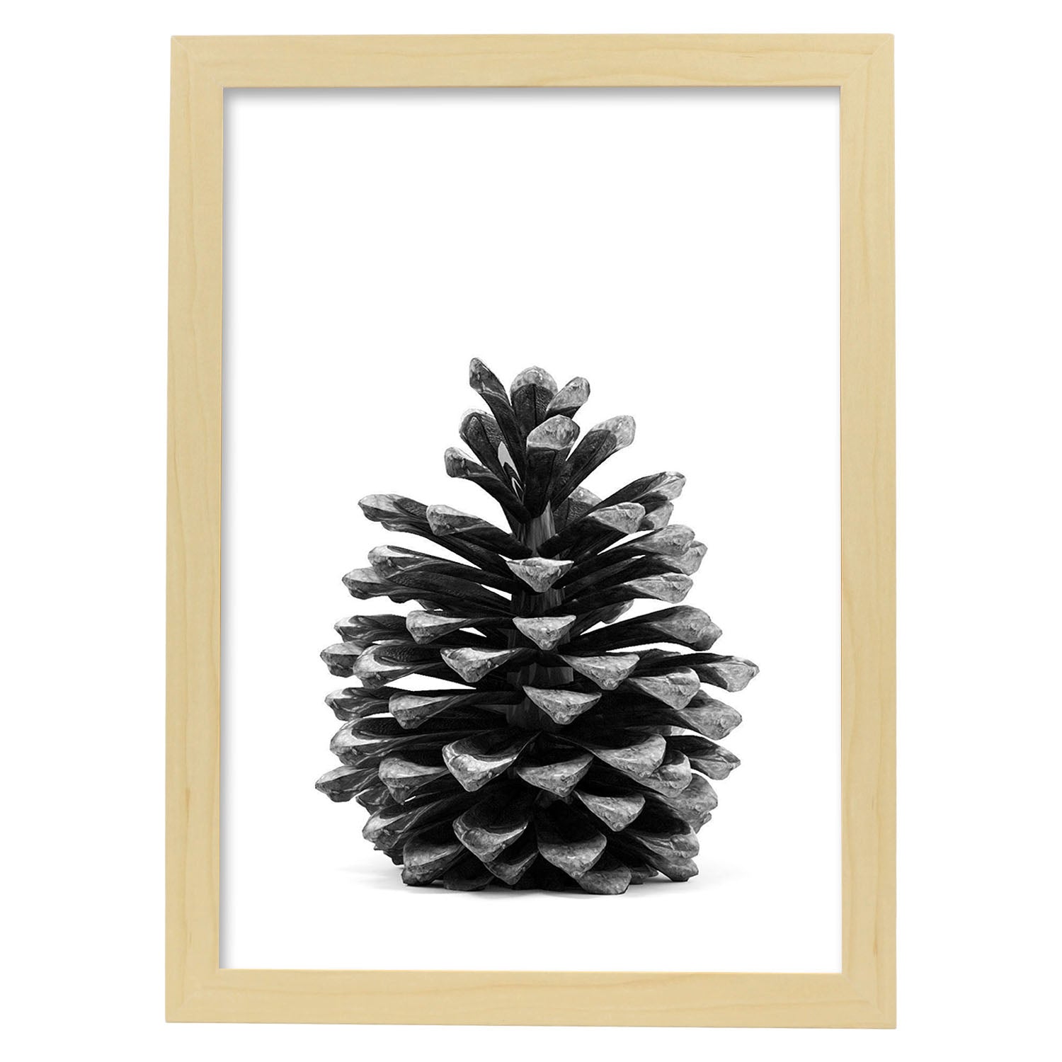 Lámina de piña de pino en , en blanco y negro .-Artwork-Nacnic-A4-Marco Madera clara-Nacnic Estudio SL