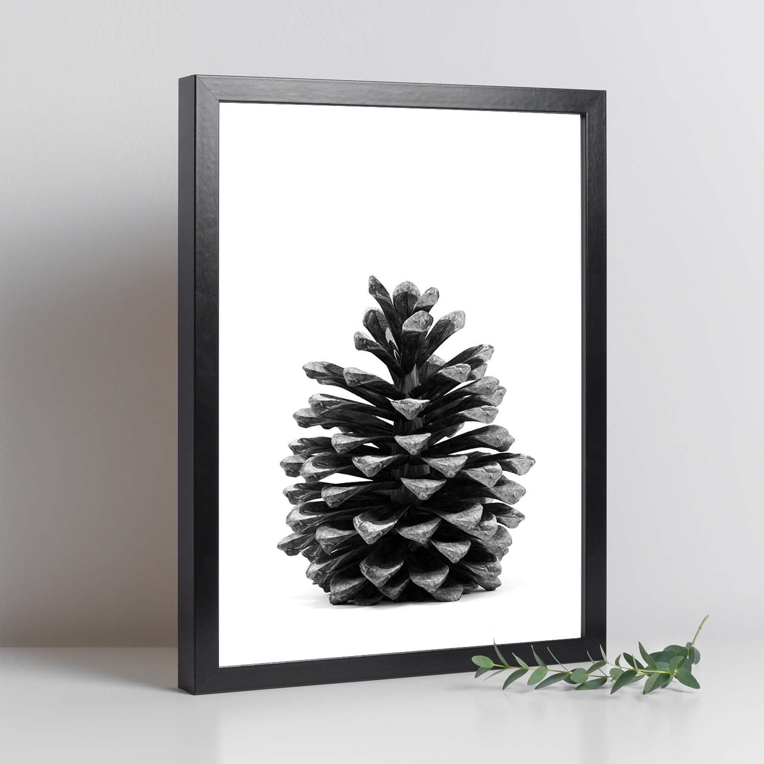 Lámina de piña de pino en , en blanco y negro .-Artwork-Nacnic-Nacnic Estudio SL