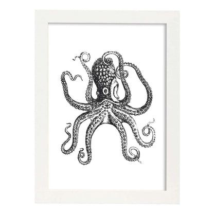 Lámina de Pulpo. Posters con animales en blanco y negro.-Artwork-Nacnic-A4-Marco Blanco-Nacnic Estudio SL