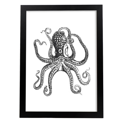 Lámina de Pulpo. Posters con animales en blanco y negro.-Artwork-Nacnic-A4-Marco Negro-Nacnic Estudio SL