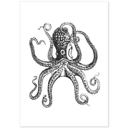 Lámina de Pulpo. Posters con animales en blanco y negro.-Artwork-Nacnic-A4-Sin marco-Nacnic Estudio SL