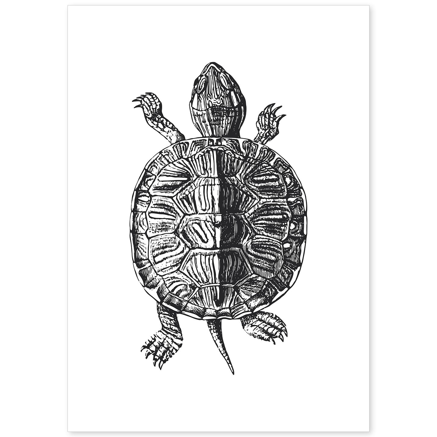 Lámina de Tortuga andando. Posters con animales en blanco y negro.-Artwork-Nacnic-A4-Sin marco-Nacnic Estudio SL