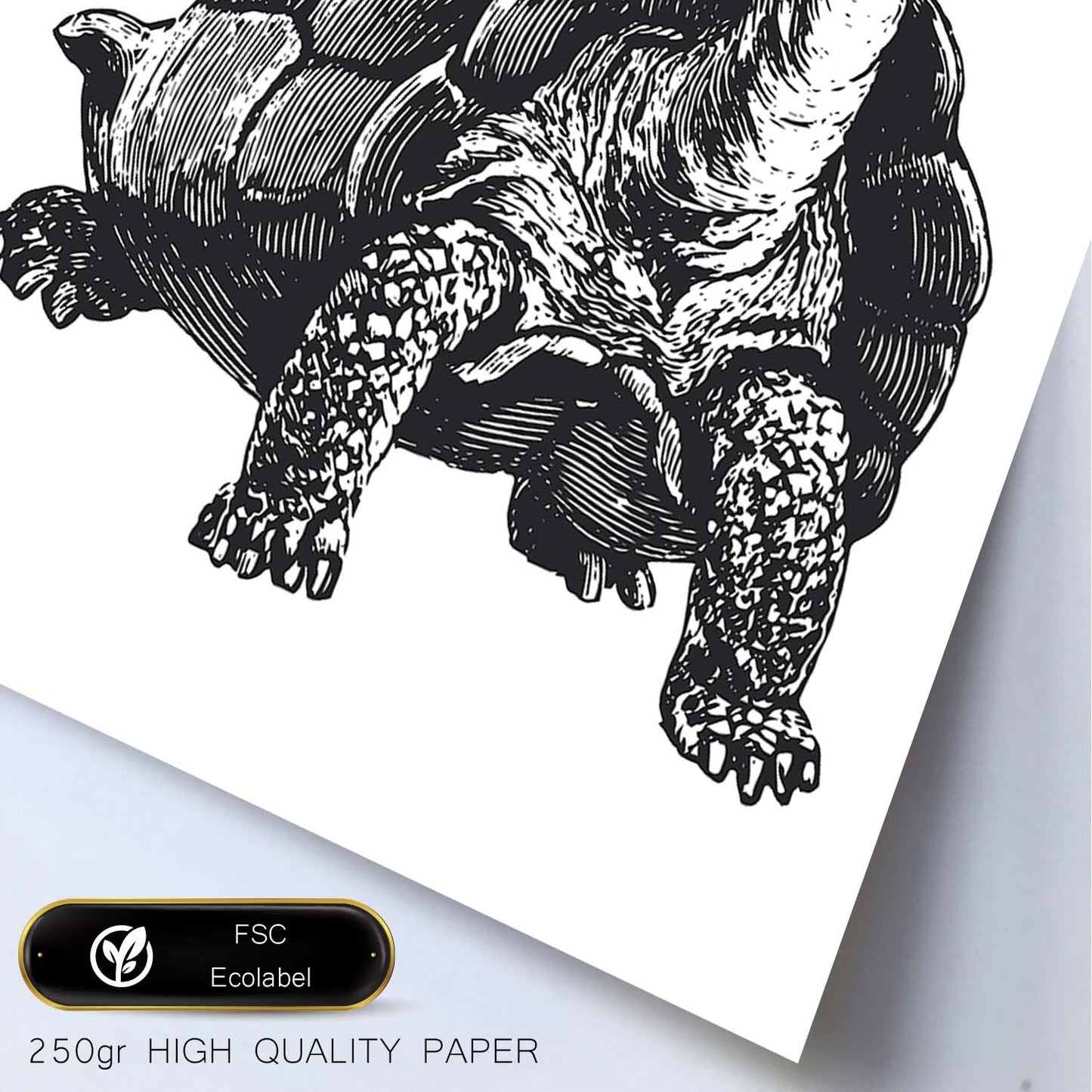 Lámina de Tortuga. Posters con animales en blanco y negro.-Artwork-Nacnic-Nacnic Estudio SL