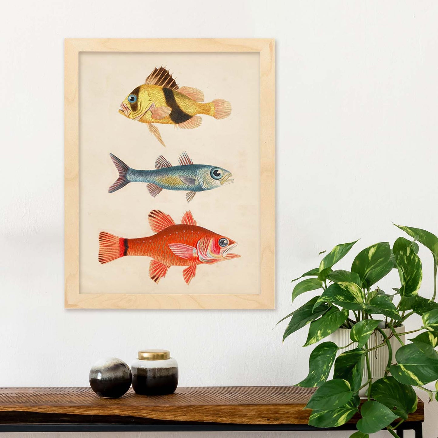 Lámina de tres peces amariilo y marron azul y rojo en , fondo papel vintage.-Artwork-Nacnic-Nacnic Estudio SL