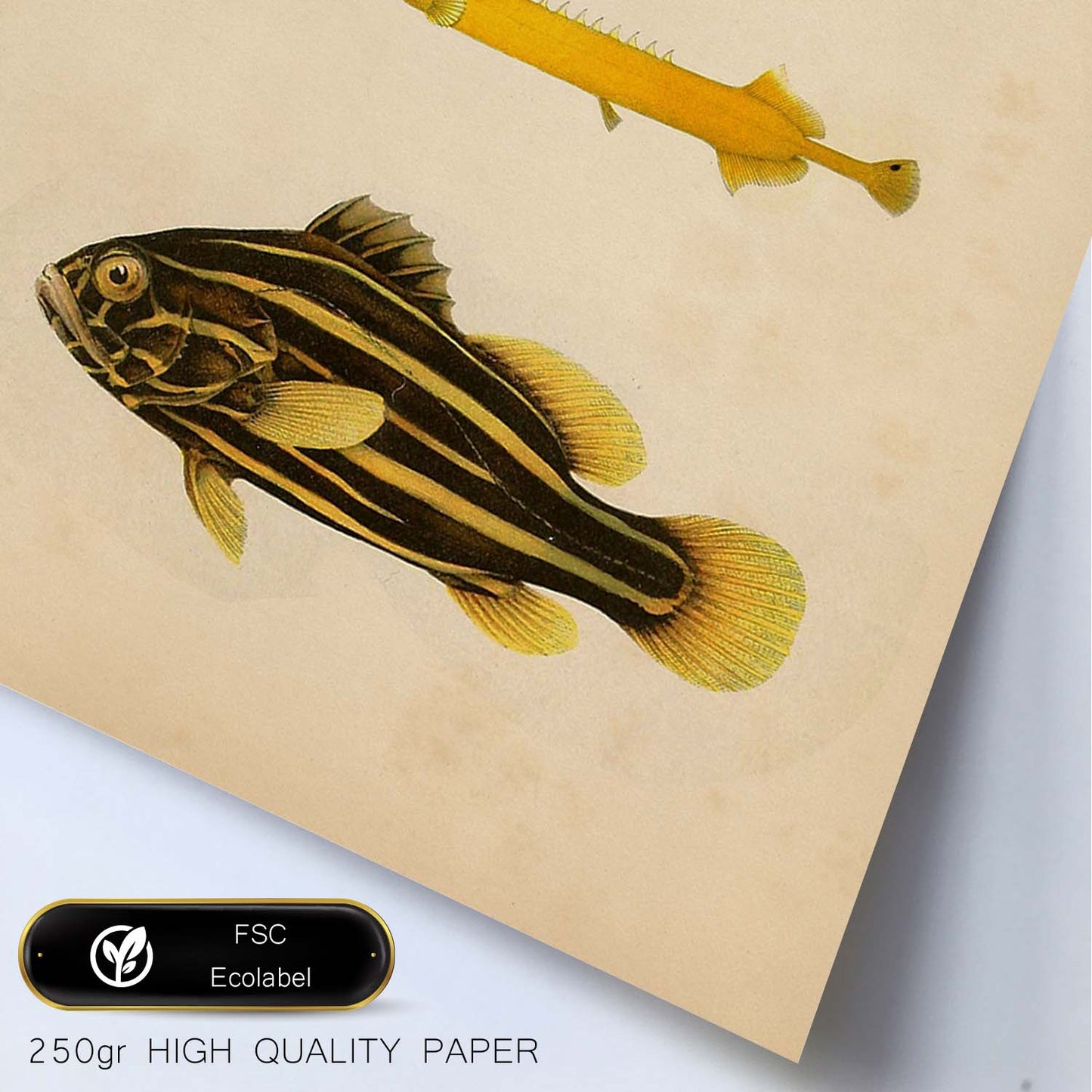 Lámina de tres peces amarillo, marron y negro en , fondo papel vintage.-Artwork-Nacnic-Nacnic Estudio SL