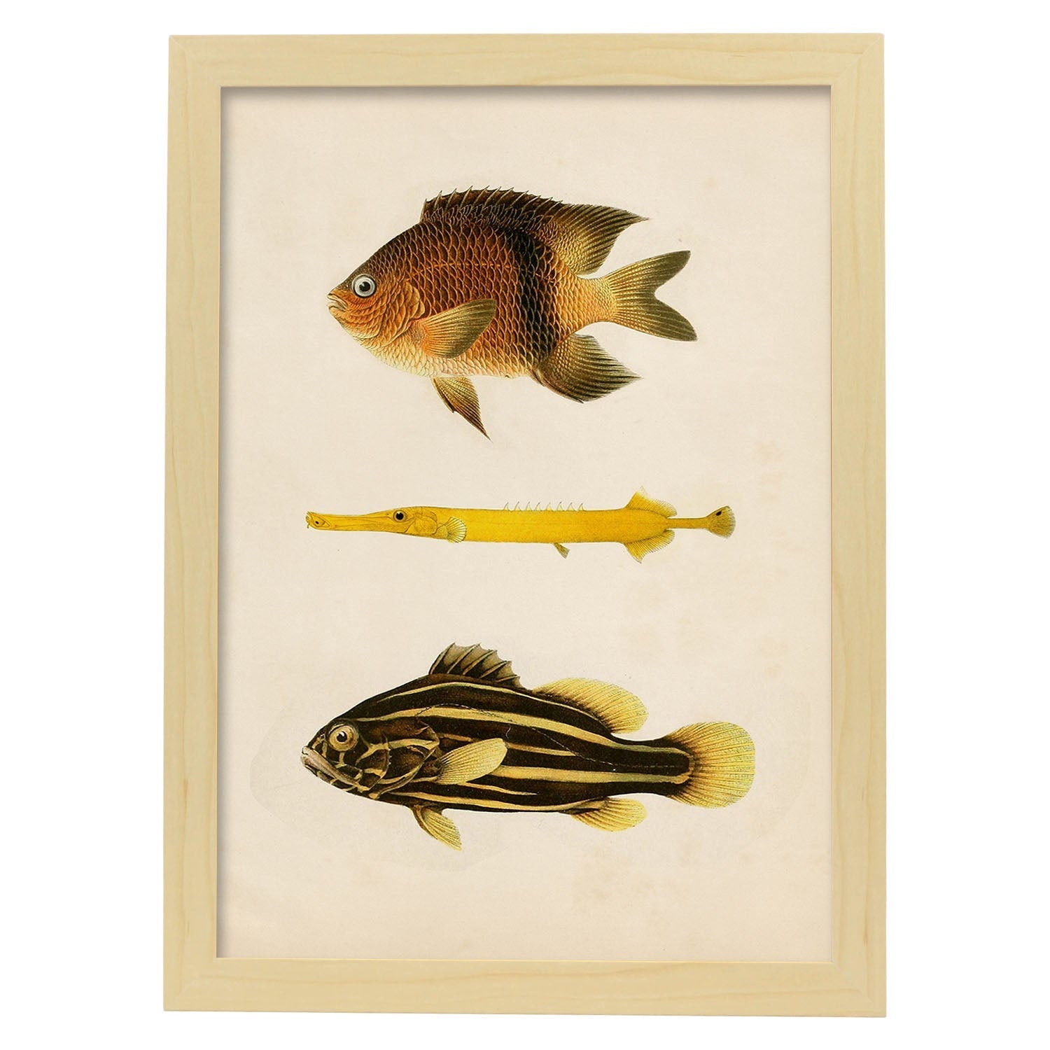 Lámina de tres peces amarillo, marron y negro en , fondo papel vintage.-Artwork-Nacnic-A3-Marco Madera clara-Nacnic Estudio SL