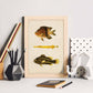 Lámina de tres peces amarillo, marron y negro en , fondo papel vintage.-Artwork-Nacnic-Nacnic Estudio SL