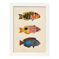 Lámina de tres peces amarillo, naranja, rojo rosa y azul en , fondo papel vintage.-Artwork-Nacnic-A3-Marco Blanco-Nacnic Estudio SL