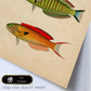 Lámina de tres peces amarillo, negro, verde, rojo, azul y naranja en , fondo papel vintage.-Artwork-Nacnic-Nacnic Estudio SL