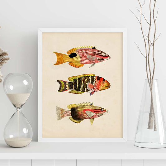Lámina de tres peces amarillo, rojo, naranja y negro en , fondo papel vintage.-Artwork-Nacnic-Nacnic Estudio SL