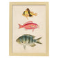 Lámina de tres peces amarillo y marron rojo, rosa, y azul y gris en , fondo papel vintage.-Artwork-Nacnic-A4-Marco Madera clara-Nacnic Estudio SL