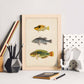 Lámina de tres peces amarillo y negro, gris y verde, naranja. en , fondo papel vintage.-Artwork-Nacnic-Nacnic Estudio SL