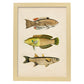 Lámina de tres peces amarillos, beige, verde y naranja en , fondo papel vintage.-Artwork-Nacnic-A3-Marco Madera clara-Nacnic Estudio SL