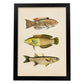 Lámina de tres peces amarillos, beige, verde y naranja en , fondo papel vintage.-Artwork-Nacnic-A4-Marco Negro-Nacnic Estudio SL