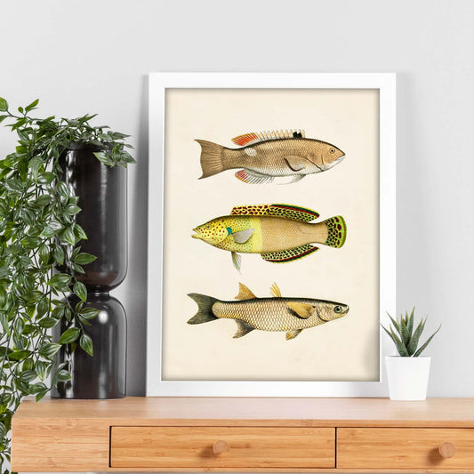 Lámina de tres peces amarillos, beige, verde y naranja en , fondo papel vintage.-Artwork-Nacnic-Nacnic Estudio SL