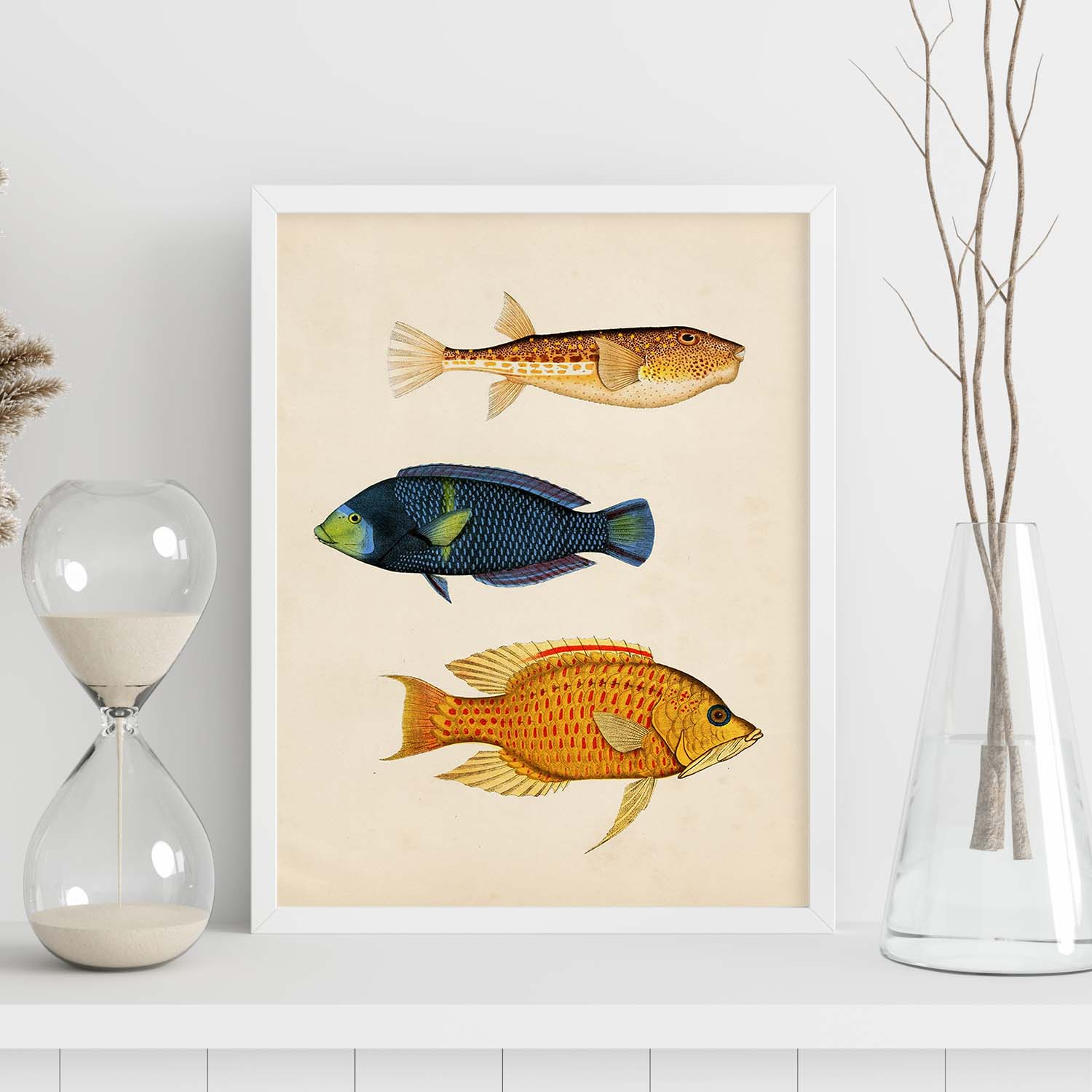 Lámina de tres peces azul, naranja, amarillo y rojo en , fondo papel vintage.-Artwork-Nacnic-Nacnic Estudio SL