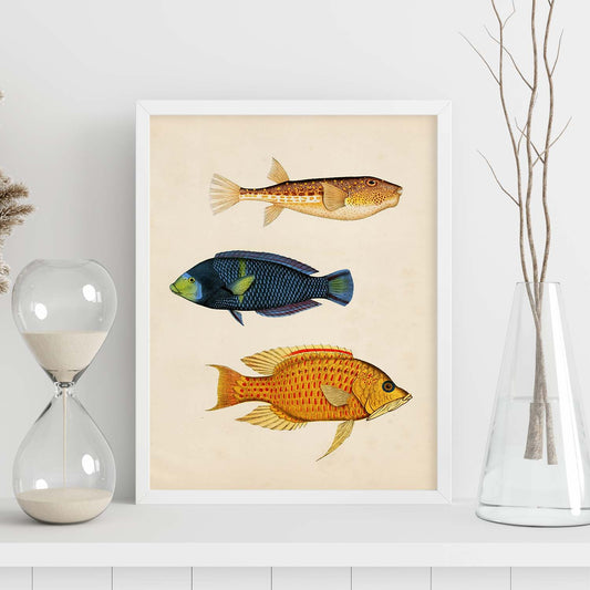 Lámina de tres peces azul, naranja, amarillo y rojo en , fondo papel vintage.-Artwork-Nacnic-Nacnic Estudio SL