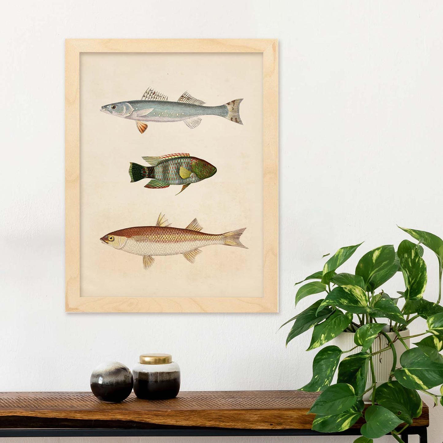 Lámina de tres peces azul, verde marroon y beige en , fondo papel vintage.-Artwork-Nacnic-Nacnic Estudio SL