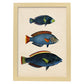 Lámina de tres peces azules, con amarillo, verde y rojo en , fondo papel vintage.-Artwork-Nacnic-A4-Marco Madera clara-Nacnic Estudio SL