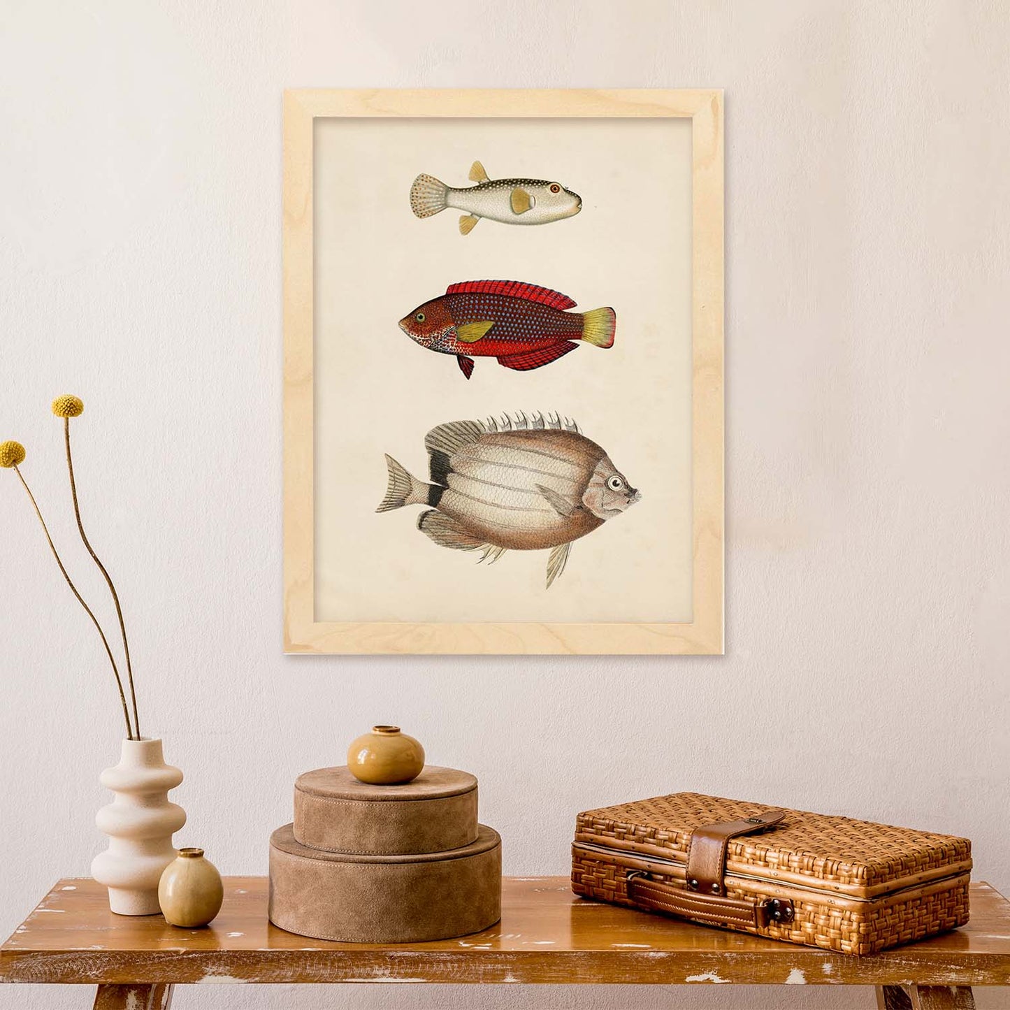 Lámina de tres peces beige, rojo, amarillo y blanco en , fondo papel vintage.-Artwork-Nacnic-Nacnic Estudio SL