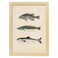 Lámina de Tres Peces Gris, Azul y Blanco en , Fondo Papel Vintage Poster Papel 250 gr Marco-Artwork-Nacnic-A4-Marco Madera clara-Nacnic Estudio SL