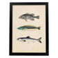 Lámina de Tres Peces Gris, Azul y Blanco en , Fondo Papel Vintage Poster Papel 250 gr Marco-Artwork-Nacnic-A4-Marco Negro-Nacnic Estudio SL