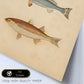 Lámina de tres peces gris, azul y marron en , fondo papel vintage.-Artwork-Nacnic-Nacnic Estudio SL