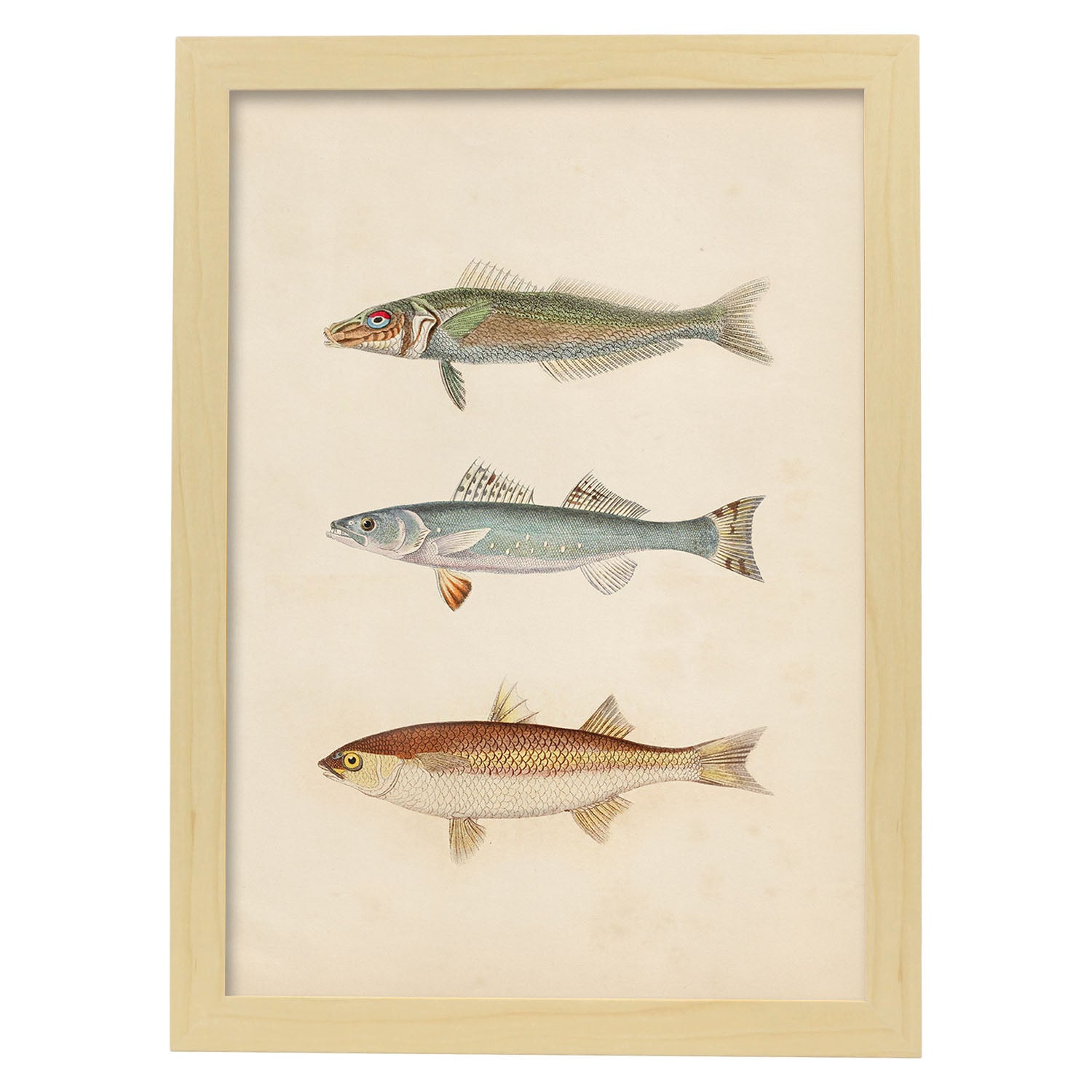 Lámina de tres peces gris, azul y marron en , fondo papel vintage.-Artwork-Nacnic-A3-Marco Madera clara-Nacnic Estudio SL