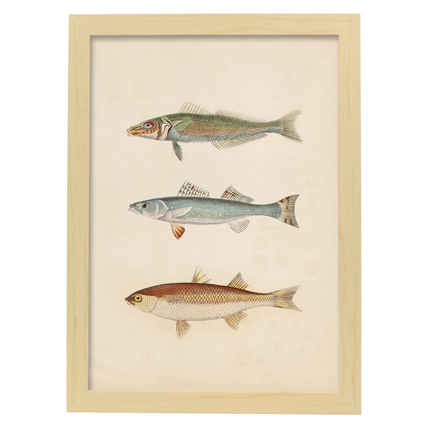 Lámina de tres peces gris, azul y marron en , fondo papel vintage.-Artwork-Nacnic-A4-Marco Madera clara-Nacnic Estudio SL