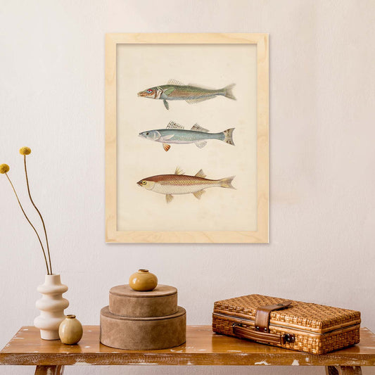 Lámina de tres peces gris, azul y marron en , fondo papel vintage.-Artwork-Nacnic-Nacnic Estudio SL
