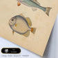 Lámina de tres peces marron azul y gris en , fondo papel vintage.-Artwork-Nacnic-Nacnic Estudio SL