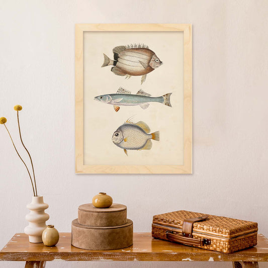 Lámina de tres peces marron azul y gris en , fondo papel vintage.-Artwork-Nacnic-Nacnic Estudio SL