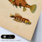 Lámina de tres peces marrones, amarillos en , fondo papel vintage.-Artwork-Nacnic-Nacnic Estudio SL