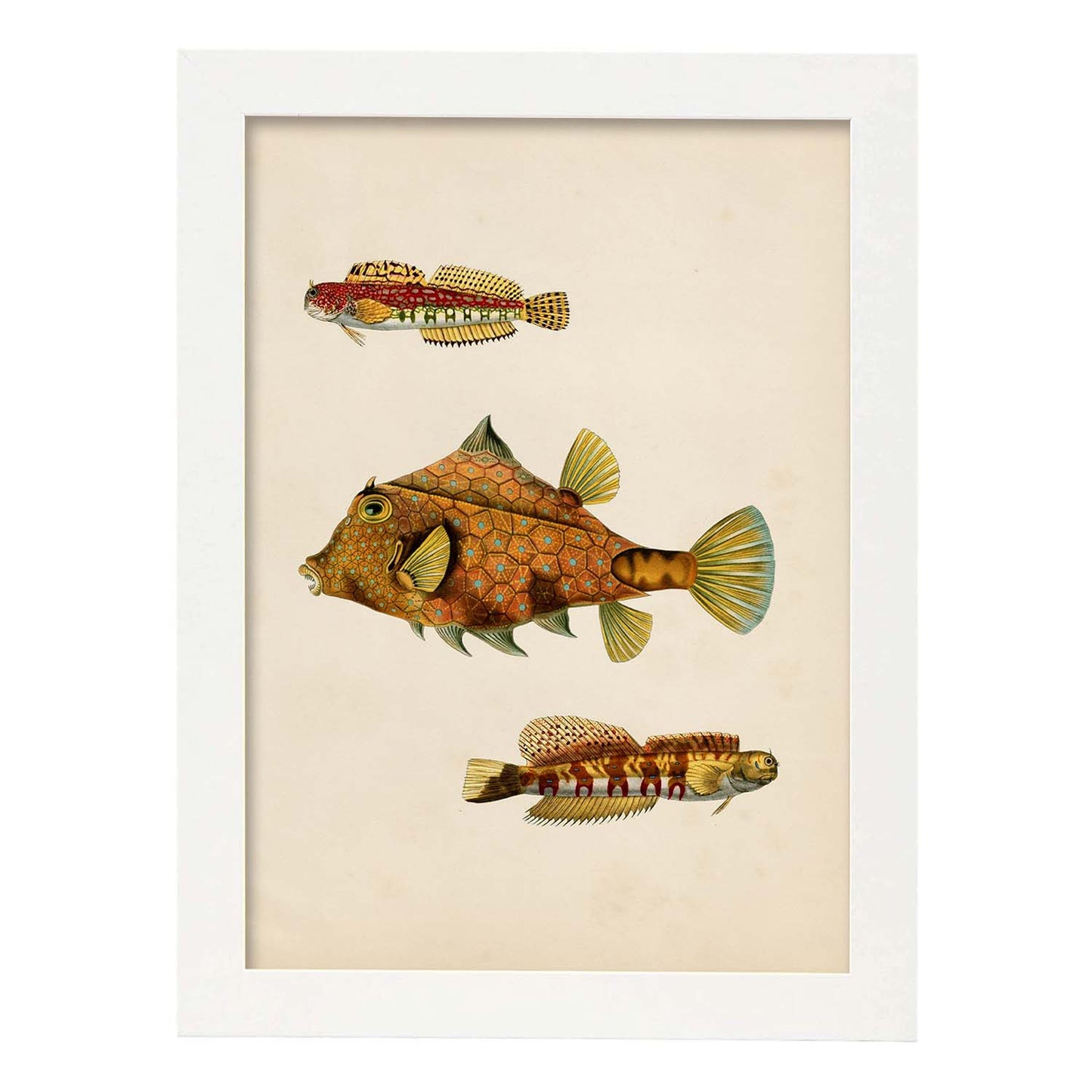 Lámina de tres peces marrones, amarillos en , fondo papel vintage.-Artwork-Nacnic-A3-Marco Blanco-Nacnic Estudio SL