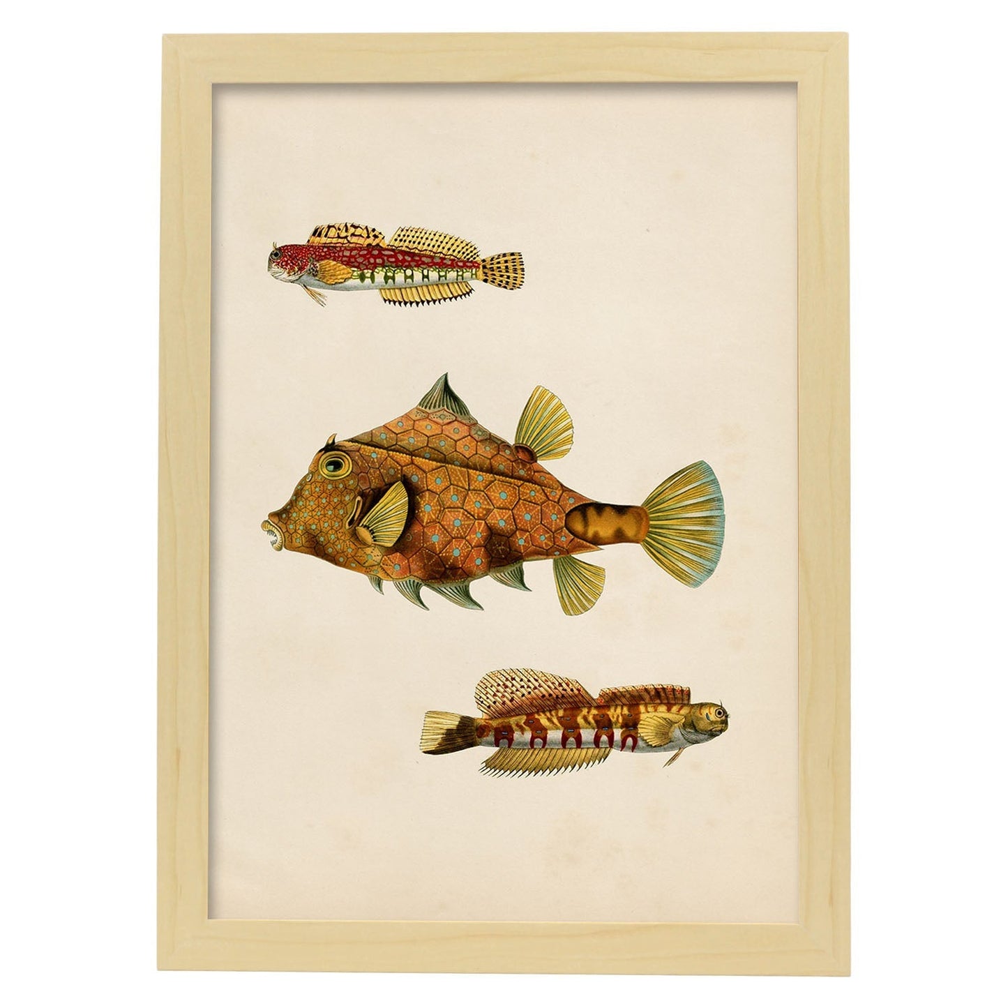 Lámina de tres peces marrones, amarillos en , fondo papel vintage.-Artwork-Nacnic-A3-Marco Madera clara-Nacnic Estudio SL