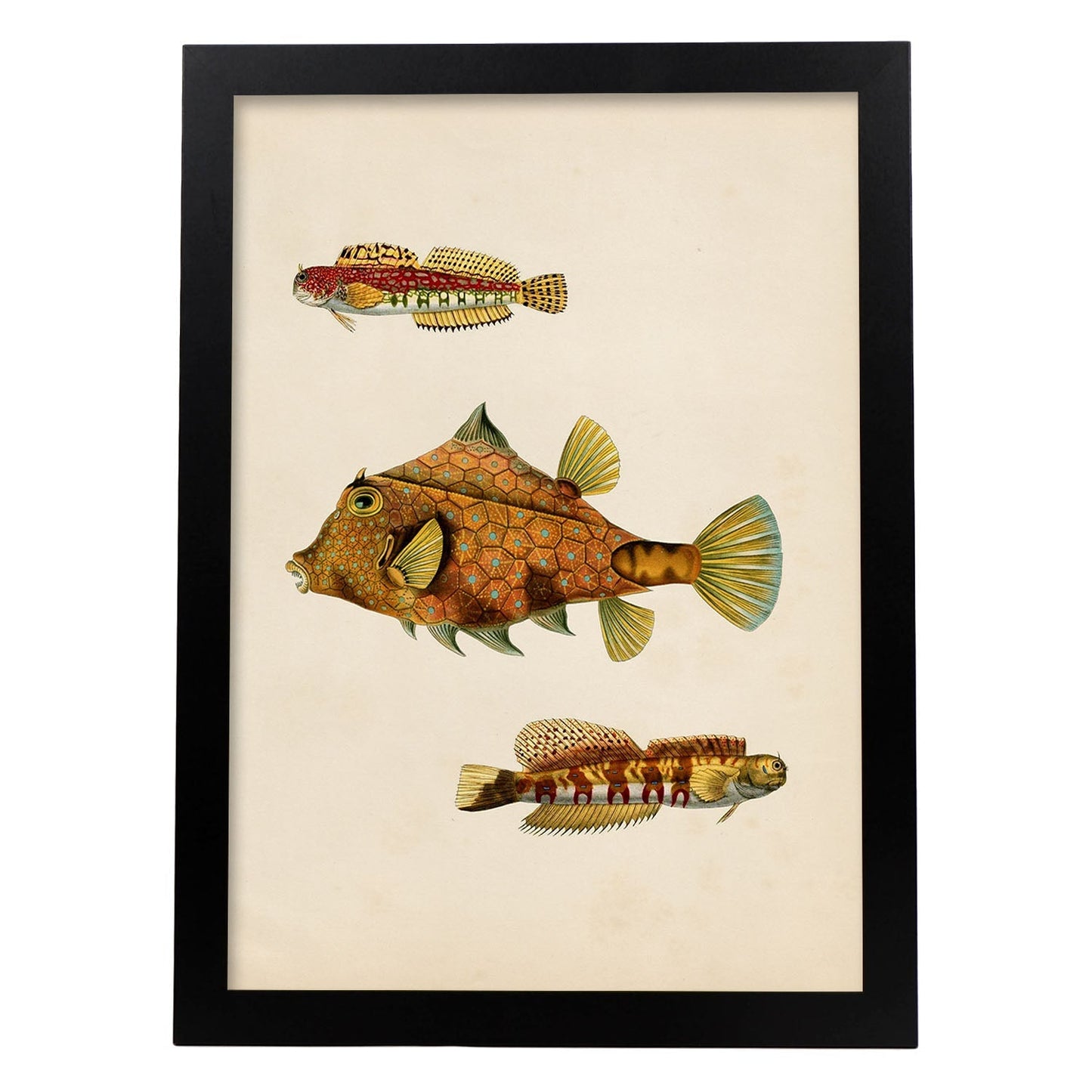 Lámina de tres peces marrones, amarillos en , fondo papel vintage.-Artwork-Nacnic-A4-Marco Negro-Nacnic Estudio SL