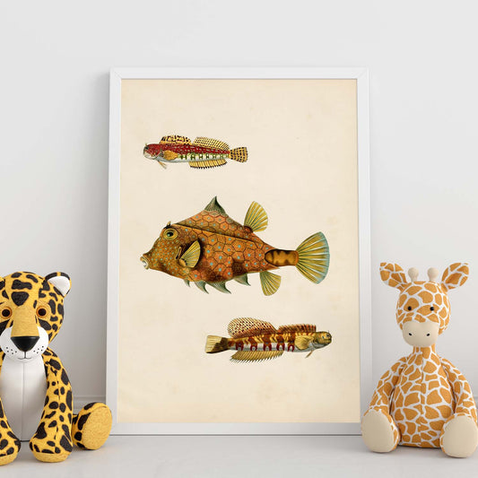 Lámina de tres peces marrones, amarillos en , fondo papel vintage.-Artwork-Nacnic-Nacnic Estudio SL
