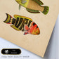 Lámina de tres peces naranja, amarillo, verde y rojo en , fondo papel vintage.-Artwork-Nacnic-Nacnic Estudio SL