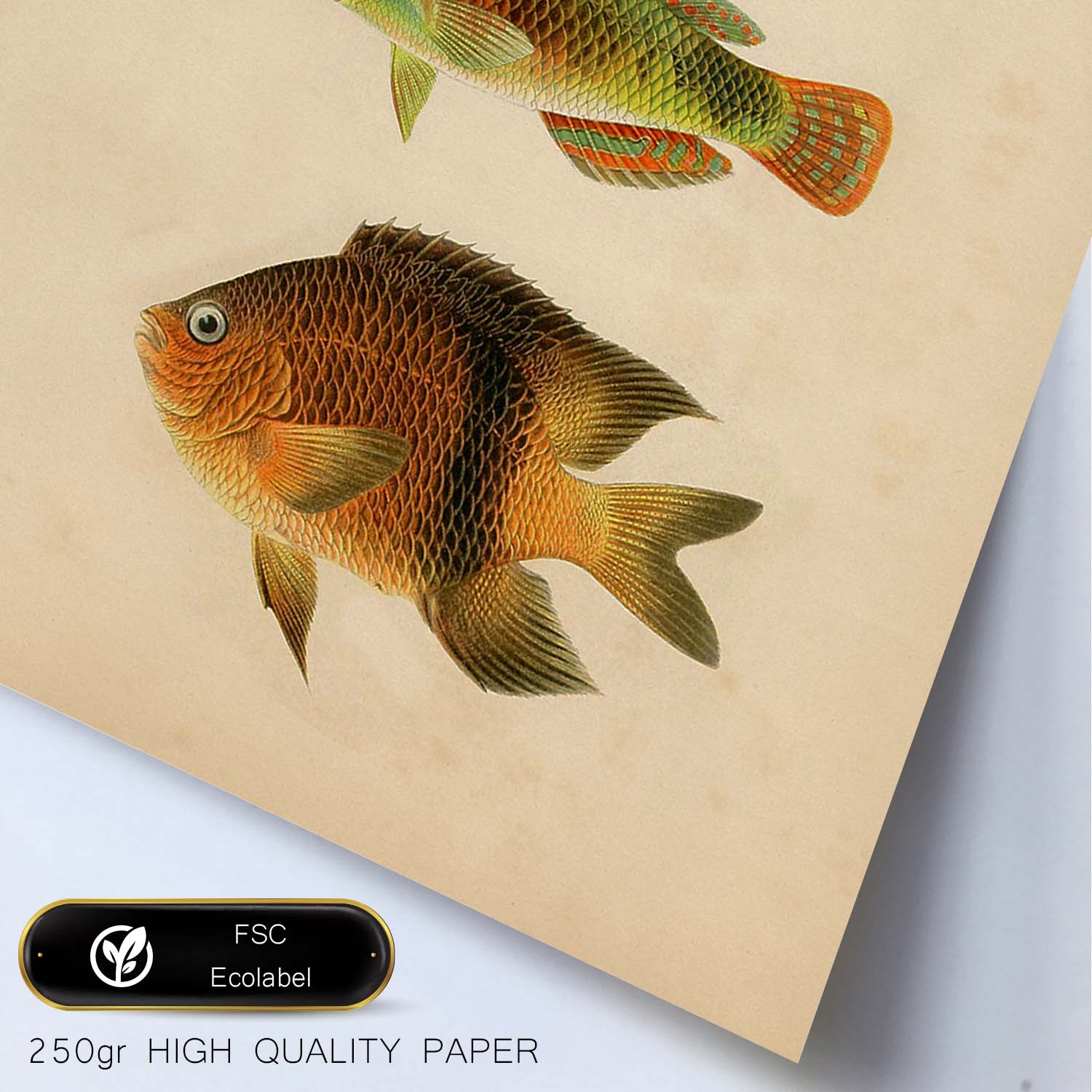 Lámina de tres peces naranja, amarillo y marron en , fondo papel vintage.-Artwork-Nacnic-Nacnic Estudio SL