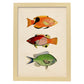 Lámina de tres peces naranja, negro rojo, verde en , fondo papel vintage.-Artwork-Nacnic-A4-Marco Madera clara-Nacnic Estudio SL