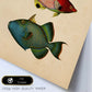 Lámina de tres peces naranja, rojo, azul, verde y amarillo en , fondo papel vintage.-Artwork-Nacnic-Nacnic Estudio SL