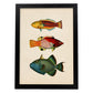 Lámina de tres peces naranja, rojo, azul, verde y amarillo en , fondo papel vintage.-Artwork-Nacnic-A3-Marco Negro-Nacnic Estudio SL