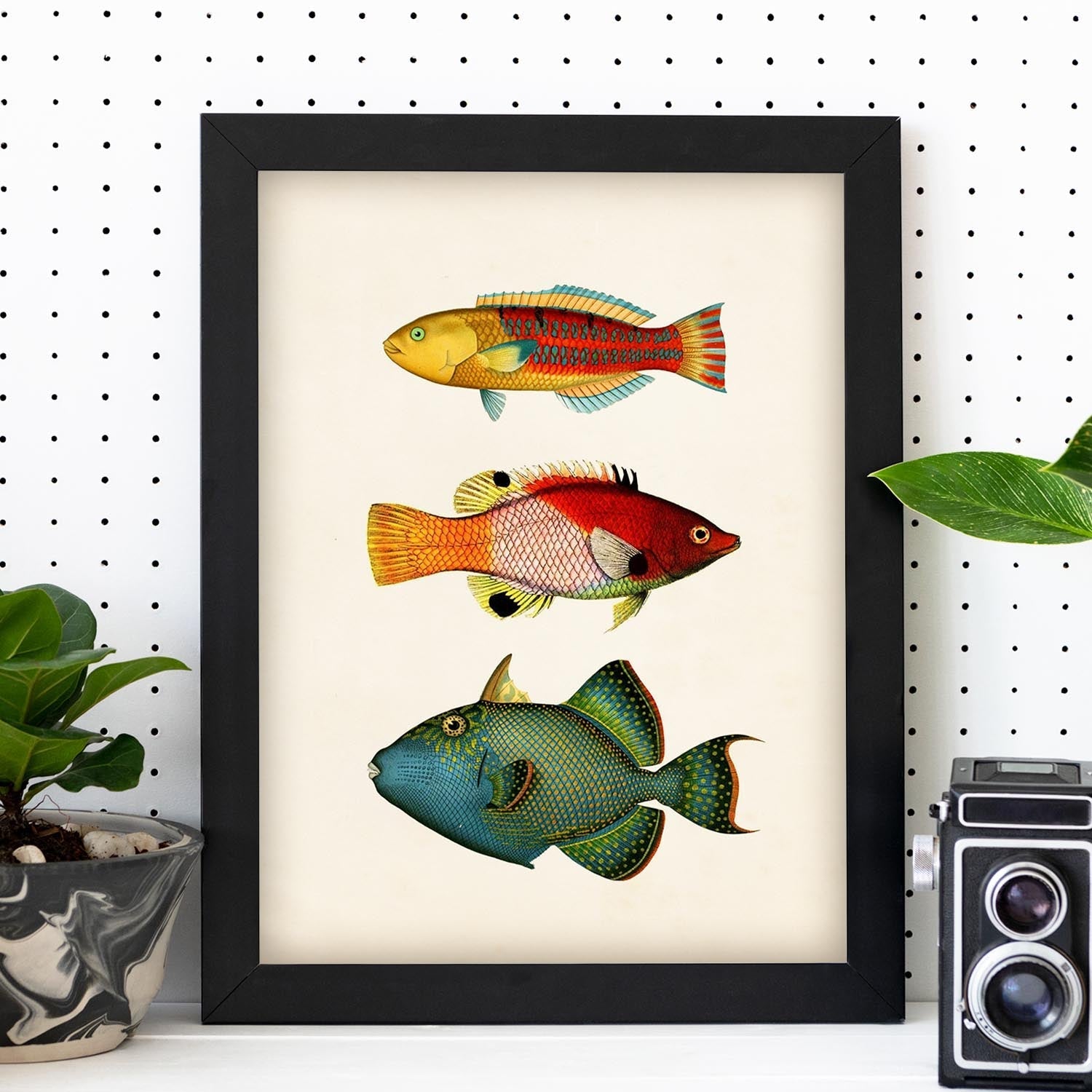 Lámina de tres peces naranja, rojo, azul, verde y amarillo en , fondo papel vintage.-Artwork-Nacnic-Nacnic Estudio SL