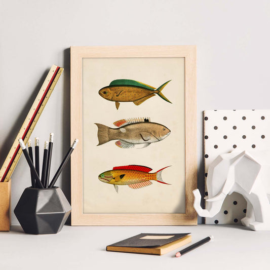 Lámina de tres peces naranja, verde, beige y rojo en , fondo papel vintage.-Artwork-Nacnic-Nacnic Estudio SL