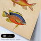 Lámina de tres peces naranjas, azules y amarillos en , fondo papel vintage.-Artwork-Nacnic-Nacnic Estudio SL